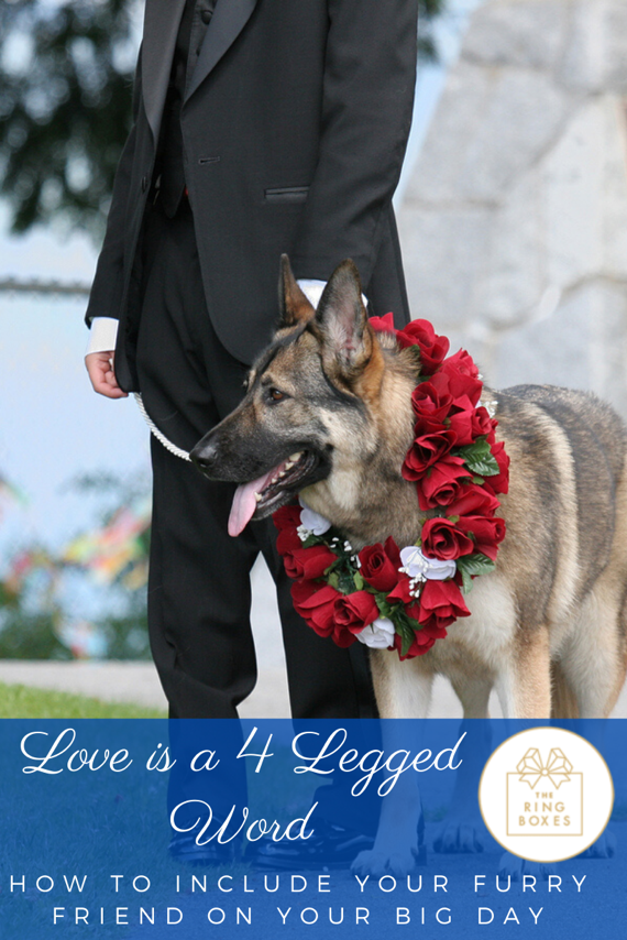 Love is a 4-Legged Word: How to Include Your Furry Friend on Your Big Day!